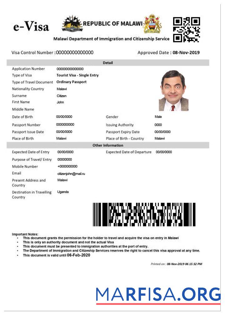 Downloadable Malawi e visa example